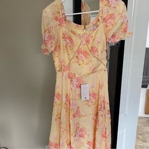BNWT Ivy City Co Cassidy Dress